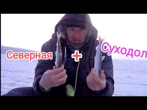Видео: Зимняя рыбалка .Ловля зубаря в бухте Северной и Сухадоле на комбайны.блесна на зубаря.