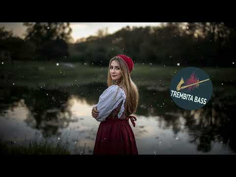 Видео: Trembita Bass -  Плакуча гітара (EDM)
