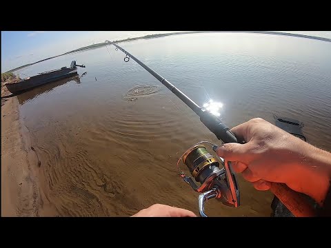 Видео: Осенний фидер на мелководных участках реки Северная Двина!
