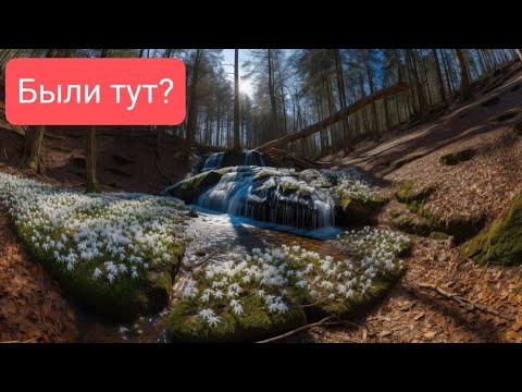 Видео: 💧Экотропа «Святые криницы» Родники как попасть апрель 2023