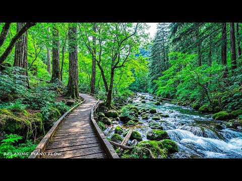 Видео: 🌿 Красивая расслабляющая музыка – звуки природы и целительное фортепиано для внутреннего покоя