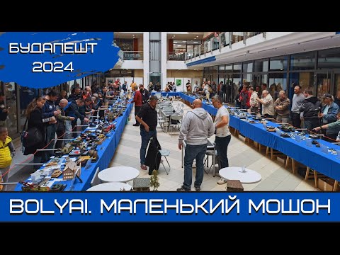 Видео: Будапешт-2024. Маленький Мошон. 20.10.24