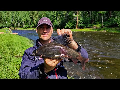 Видео: Рыбалка на Хариуса/ Сплав по Таежной реке/Поймал кабана!