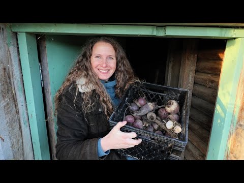 Видео: Четыре лучших рецепта моих любимых овощей