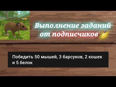 Видео: Вызов: выполнение заданий от подписчиков #1 (Mouse Simulator)