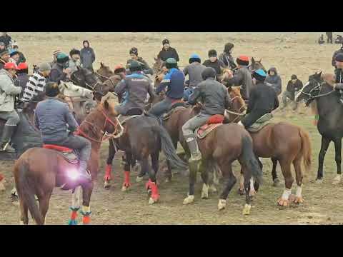 Видео: 19 января 2024 г.