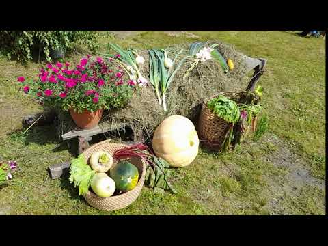 Видео: Мухоршибирь - Летняя пора 2023