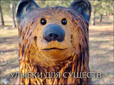 Видео: АдольфГидФашизм (Афогидашизм в стиле кошка)