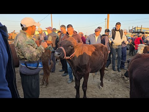 Видео: БОКИЛАДИГАН ЁШ НОВВОСЛАР 6-ОКТЯБР ХОРАЗМ УРГАНЧ МОЛ БОЗОРИ !!! ХОРАЗМ БОЗОР