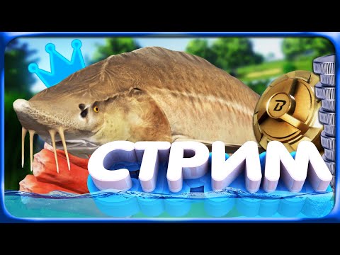 Видео: РР4 СТРИМ • ОХОТА за ТРОФЕЯМИ на ТУНГУСКЕ и ТРОЛЛИНГЕ на МОРЕ!