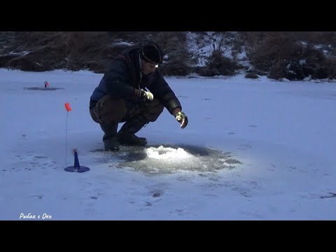 Видео: Зимняя Рыбалка 24-25! Душевная Рыбалка на Жерлицы/Балансир!