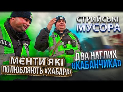 Видео: ДВА НАГЛИХ КАБАНЧИКА в ПОЛІЦІЇ СТРИЯ пробивають ДНО