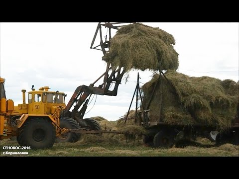 Видео: Сенокос-2016 возле села Корниловка (Люблинский сельский округ, Карасуский район)
