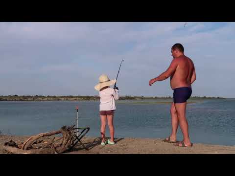 Видео: Рыбалка на реке Или 2022 - соревнования по ловле рыбы