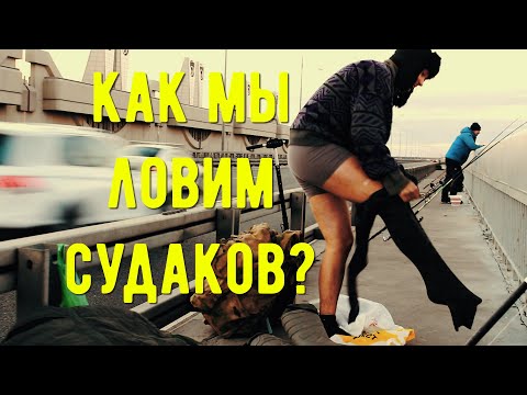 Видео: СУДАК и ГОРБАЧИ на ДАМБЕ Финского залива!!