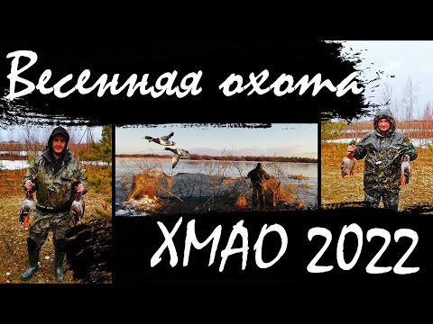 Видео: Охота на утку в ХМАО весной. Пережили сильный ветер со снегом. Палатка спасла охотников в непогоду.