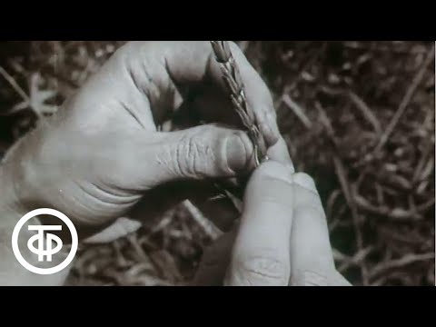 Видео: Жить долго. Академик П.Лукьяненко (1975)