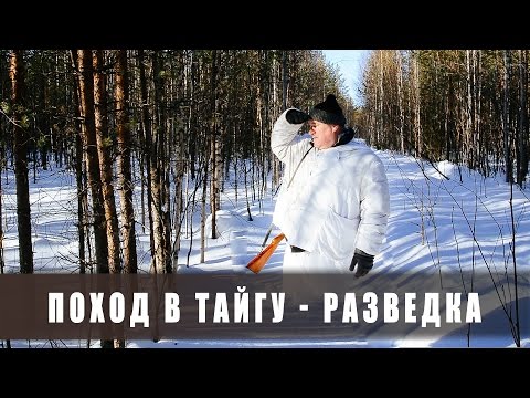 Видео: Поход в лес. Две ночи в тайге. Разведка. (тайга, болото, лыжи, снег)