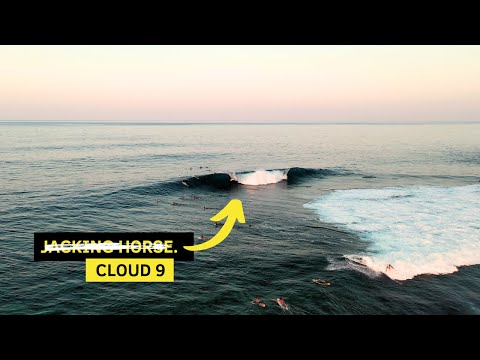 Видео: Дикая скачка на лошади-домкрате…