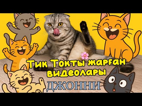 Видео: Джонни (Жәнібек) ең ҚЫЗЫҚТЫ/КҮЛКІЛІ видеолары 2025 (Қазақша)  😂 #ДжонниЖәнібек #злиха #Zliha13