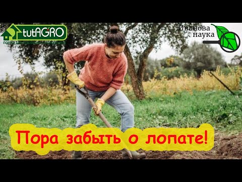 Видео: РАЗУПЛОТНЕНИЕ ПОЧВЫ НА УЧАСТКЕ. Как сделать твердую почву более пышной и воздушной без плуга.