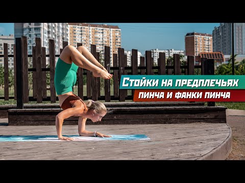 Видео: Пинча Маюрасана и Фанки Пинча. Балансы на предплечьях.