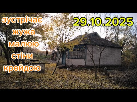 Видео: Жужа п'є молоко, фарбую стіни крейдою