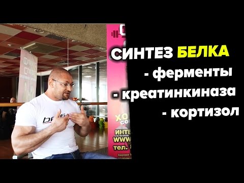 Видео: Синтез белка, ферменты, креатинкиназа, кортизол Дмитрий Яковина (ФЛЕКС-СПОРТ)