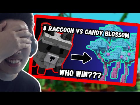 Видео: ХЭРХЭН RACCOON/CANDY BLOSSOM FARM ХИЙХИЙГ ЗААГААД ӨГЬЕ!!!