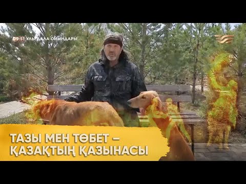 Видео: Тазы мен төбет – қазақтың қазынасы. «Ұлы дала ойындары»