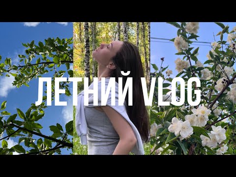 Видео: VLOG#15: тихие будни в Москве