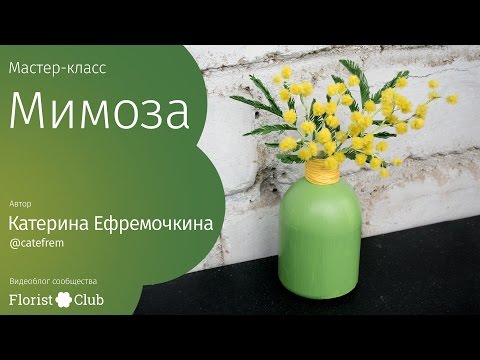 Видео: Мастер-класс «Мимоза» • фоамиран, синельная проволока, акрил