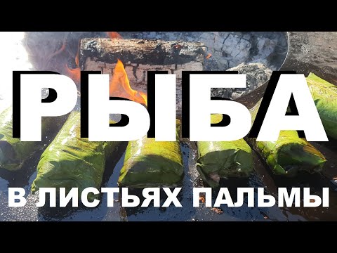 Видео: РЫБА В ЛИСТЬЯХ ПАЛЬМЫ НА ДРОВАХ. РЕЦЕПТЫ СЮФ.