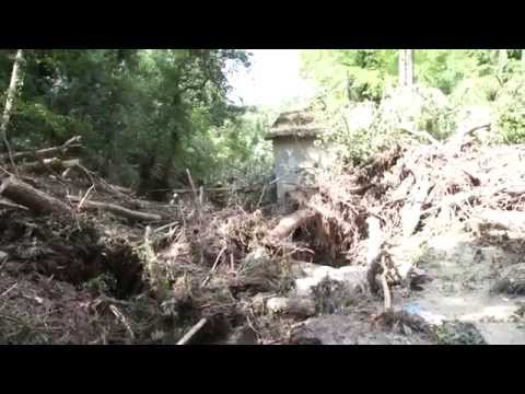 Видео: Истината за деретата потопили кв.Аспарухово Full HD