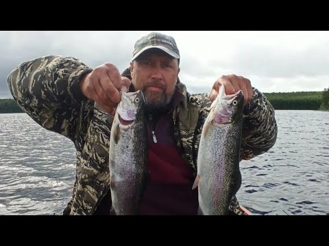 Видео: Рыбалка в Карелии ловим щуку судака и форель.