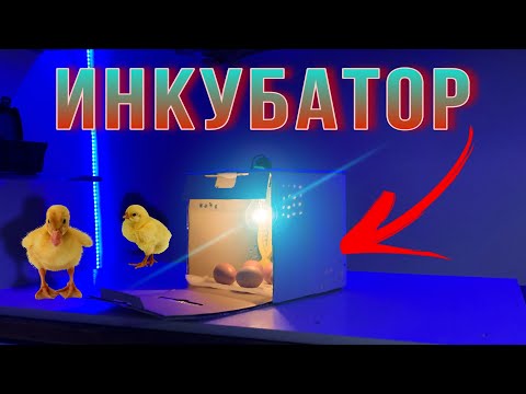 Видео: Балапан ашатын құрылғы/ Өз қолымызбен