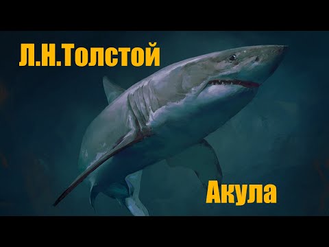 Видео: Л.Н.Толстой "Акула"