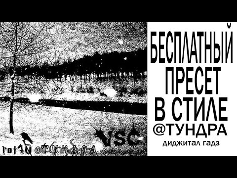 Видео: БЕСПЛАТНЫЙ ПРЕСЕТВ В СТИЛЕ @ТУНДРА - диджитал гадз (stock/waves) FL STUDIO