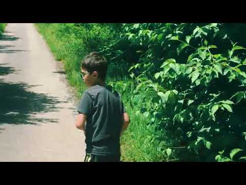 Видео: Ул. Кривуля с. Краево