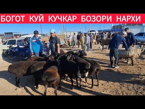 Видео: МАНА БОГОТ КУЙ КУЧКАР БОЗОР НАРХИ 10 СЕНТЯБРЯ 2025-ЙИЛ !!! ХОРАЗМ ОБЗОР 