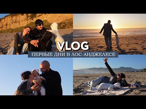 Видео: VLOG // Уехали на зимовку // Новый этап жизни // Я взрослею, Монте - тоже! // Свидание у океана