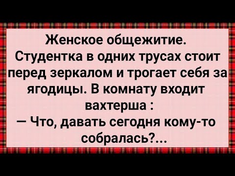Видео: Как Студентка в Общаге Захотела! Сборник Свежих Анекдотов! Юмор!
