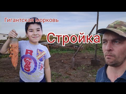 Видео: Строим дровник!... Расчистка территории...  День первый.