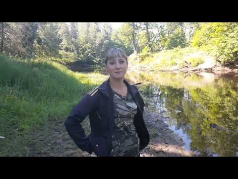 Видео: Рыбалка на лесной  речке  ! Рыбы просто ТЬМА! 