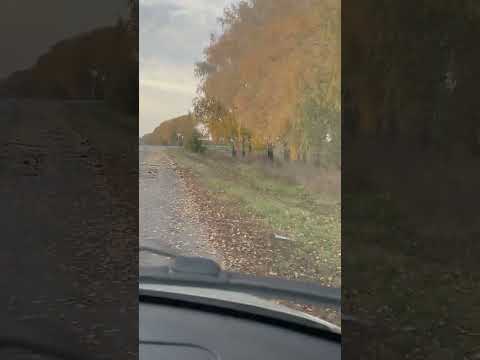 Видео: Едем с работы