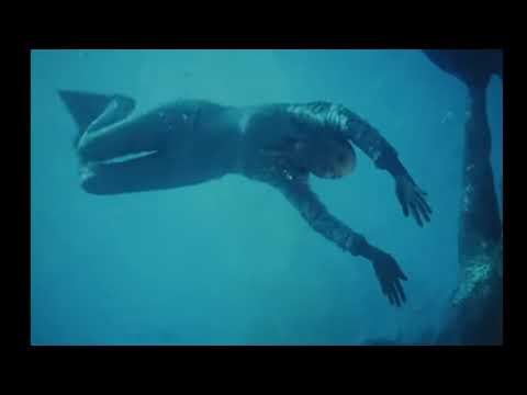 Видео: Әдебиеттік оқу. 3 сынып № 91 сабақ