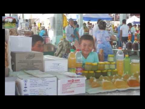 Видео: Zamin-Зомин.Заамин.