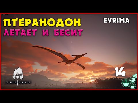 Видео: Птеранодон - он смотрит как вы играете [The isle Evrima] #14
