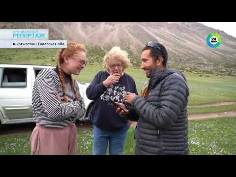 Видео: Таласская область: заповедный уголок Кыргызстана