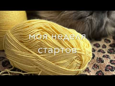 Видео: Моя неделя стартов.